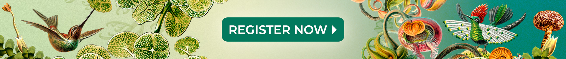 Bioneers 2020 Conference - Beyond the Great Unraveling: Weaving the World Anew