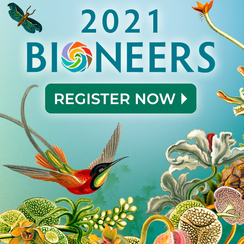 Bioneers 2020 Conference - Beyond the Great Unraveling: Weaving the World Anew